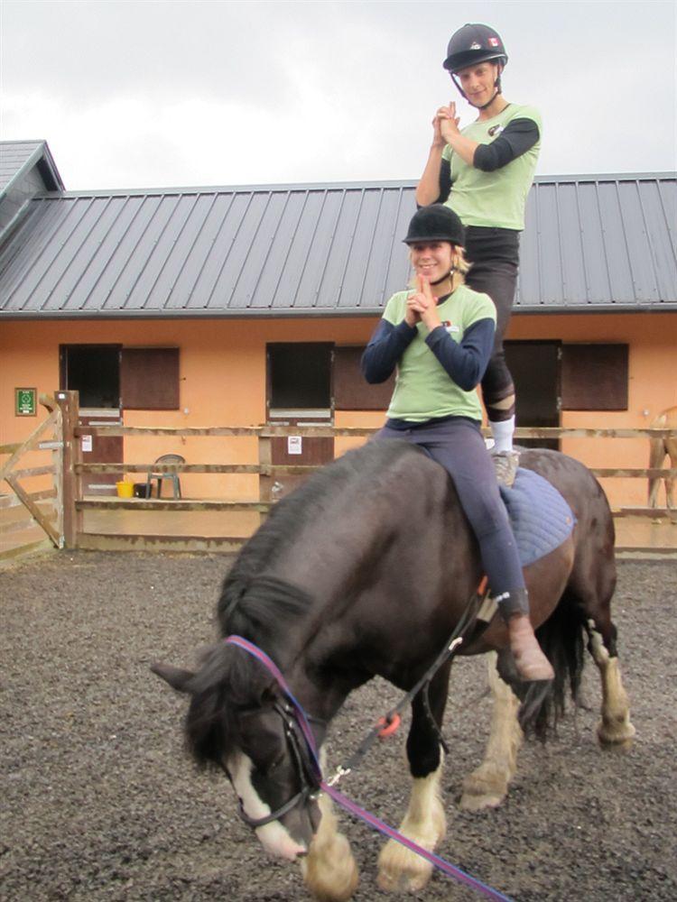 Eclipse Holiday Homes & Adventure Centre Kenmare Eksteriør billede
