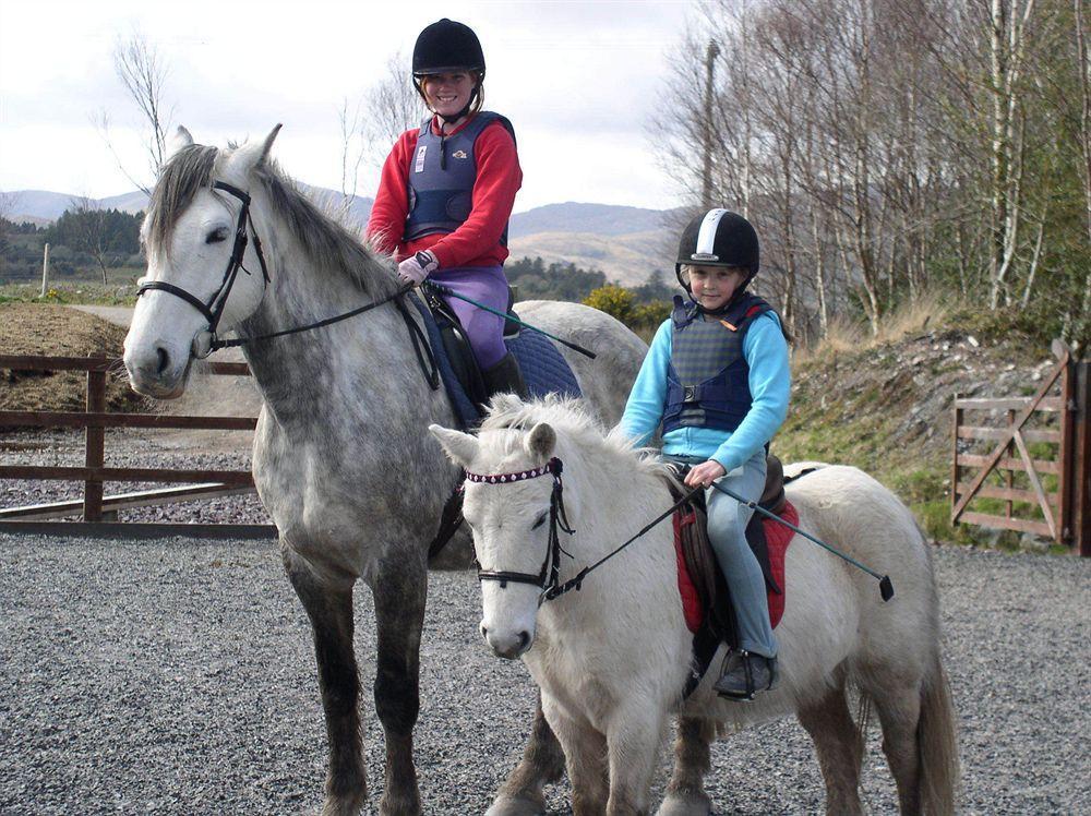 Eclipse Holiday Homes & Adventure Centre Kenmare Eksteriør billede
