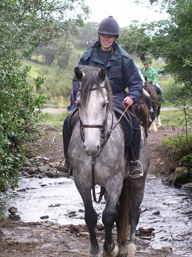 Eclipse Holiday Homes & Adventure Centre Kenmare Eksteriør billede
